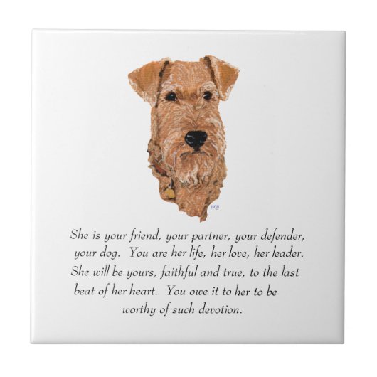 Irish Terrier Keepomwille - Vrouw Tegeltje (Voorkant)