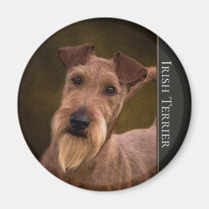 Irish Terrier Magnet Magneet