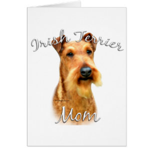 Irish Terrier Mom 2