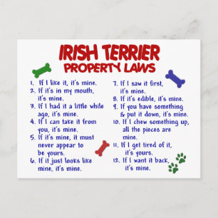 IRISH TERRIER Property Laws 2 Briefkaart