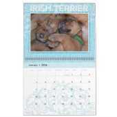 Irish Terrier Puppies 2020 Wall Calendar Kalender (Jan 2026)