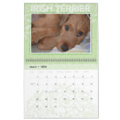 Irish Terrier Puppies 2020 Wall Calendar Kalender (Mar 2026)