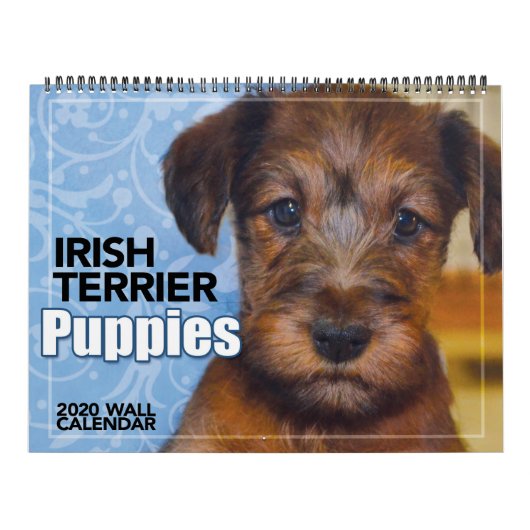 Irish Terrier Puppies 2020 Wall Calendar Kalender (Hoes)