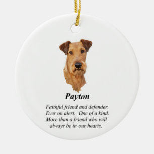 Irish Terrier Rainbow Bridge Keramisch sieraad Keramisch Ornament