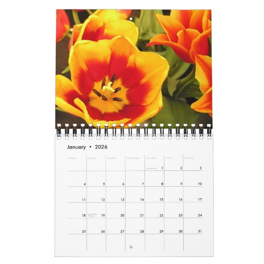 Irish Tulip Festival Calendar Kalender (Jan 2026)