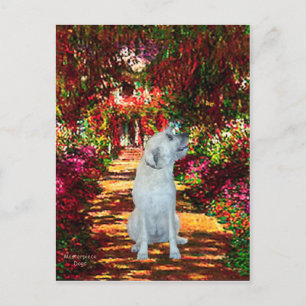 Irish Wolfhound 4 - Het pad Briefkaart