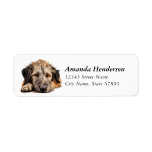 Irish Wolfhound Dog Retour Adreslabels Etiket