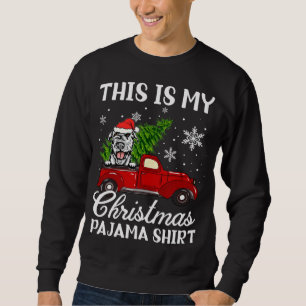 Irish Wolfhound Dog Ridt Red Truck met Christma Trui