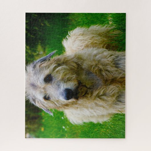Irish Wolfhound. Legpuzzel (Verticaal)