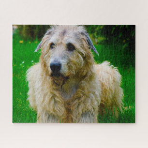 Irish Wolfhound. Legpuzzel