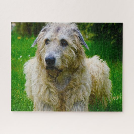 Irish Wolfhound. Legpuzzel (Horizontaal)
