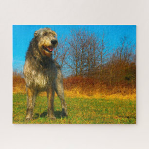 Irish Wolfhound. Legpuzzel