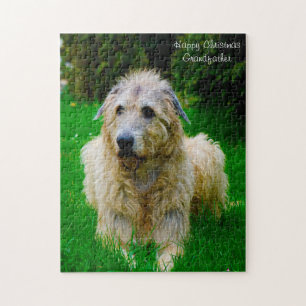 Irish Wolfhound. Legpuzzel