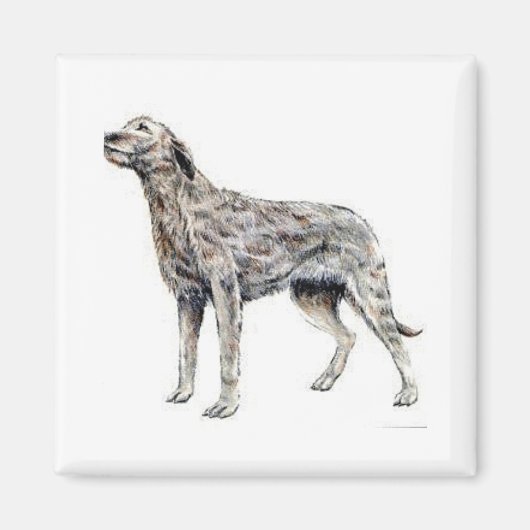 Irish Wolfhound Magneet (Voorkant)