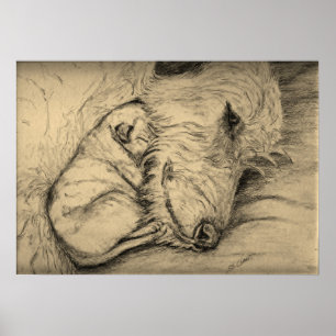 Irish Wolfhound Moeder en Puppy Poster