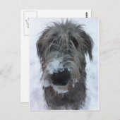 irish wolfhound playing in the snow briefkaart (Voorkant / Achterkant)