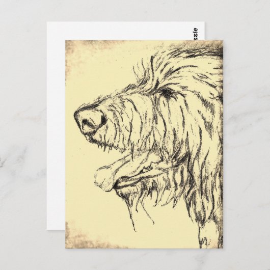 Irish Wolfhound zien aangenaam Briefkaart (Voorkant / Achterkant)
