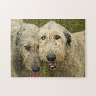 Irish Wolfhounds Foto Legpuzzel