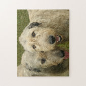 Irish Wolfhounds Foto Legpuzzel (Verticaal)