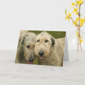 Irish Wolfhounds Kaart (Gele Bloem)