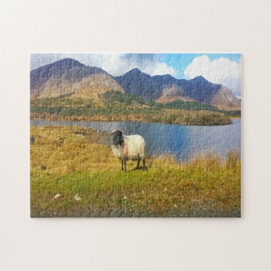 Irish Wooly Sheep Galway Ireland Legpuzzel (Horizontaal)
