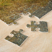 Irish Wooly Sheep Galway Irlande. Jigsaw Puzzle (Côté)