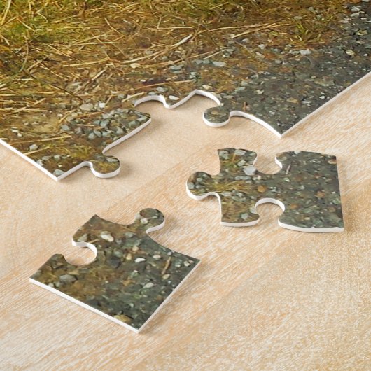 Irish Wooly Sheep Galway Irlande. Jigsaw Puzzle (Côté)