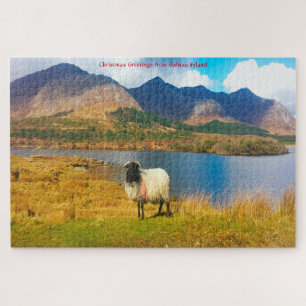 Irish Wooly Sheep Galway Irlande. Jigsaw Puzzle