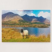 Irish Wooly Sheep Galway Irlande. Jigsaw Puzzle (Horizontal)