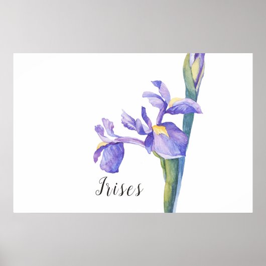 Irisse Waterverf Floral Poster (Voorkant)