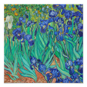 Irissen (1889) door Vincent Van Gogh. Foto Afdruk
