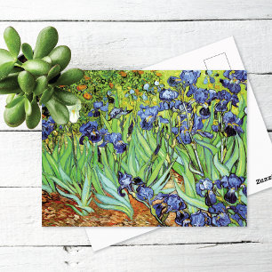 Irissen in de tuin Vincent van Gogh Briefkaart