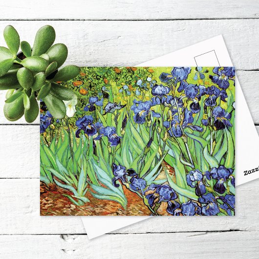Irissen in de tuin Vincent van Gogh Briefkaart
