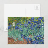 Irissen van Van Gogh Briefkaarten (Voorkant / Achterkant)