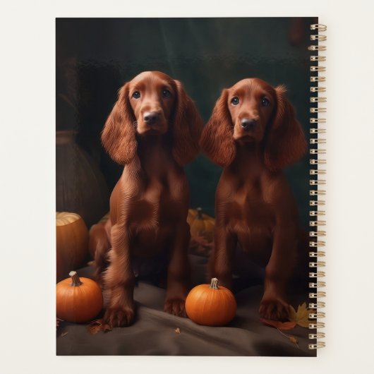 Irlandais Red Setter Chiot Automne Citrouille de p (Dos)