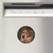 Irlandais Terrier Magnet (In Situ (Lave-vaisselle))