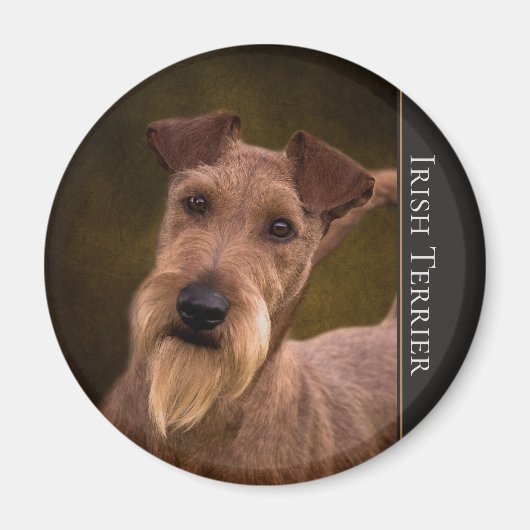 Irlandais Terrier Magnet (Devant)