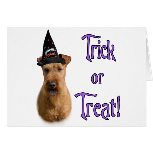 Irlandais Terrier Trick (Devant horizontal)