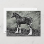 Iron Horse Steele Briefkaart (Voorkant / Achterkant)