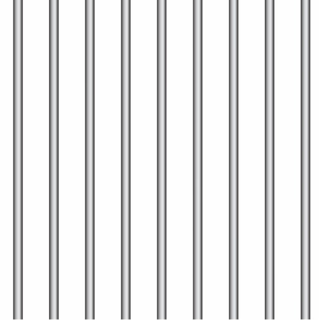 Iron Jail Bars Fotobeeldje Magneet (Voorkant)