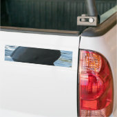 Irrawaddy Dolphin Peek-A-Boo Bumpersticker (Op Truck)