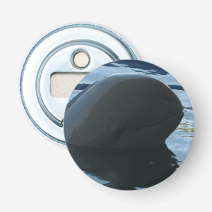 Irrawaddy Dolphin Peek-A-Boo Button Flesopener