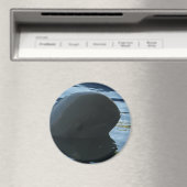 Irrawaddy Dolphin Peek-A-Boo Magneet (Insitu (Vaatwasser))