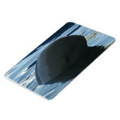 Irrawaddy Dolphin Peek-A-Boo Magneet (Linkerzijde)