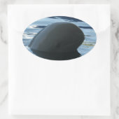 Irrawaddy Dolphin Peek-A-Boo Ovale Sticker (Tas)