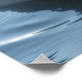 Irrawaddy Dolphin Peek-A-Boo Poster (Hoek)