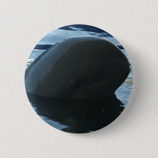 Irrawaddy Dolphin Peek-A-Boo Ronde Button 5,7 Cm (Voorkant)