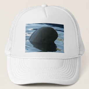 Irrawaddy Dolphin Peek-A-Boo Trucker Pet