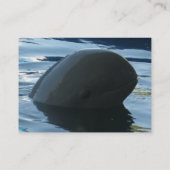 Irrawaddy Dolphin Peek-A-Boo Visitekaartje (Achterkant)