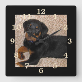 Irresistible Rottweiler Puppy Numbered Wall Clock Vierkante Klok
